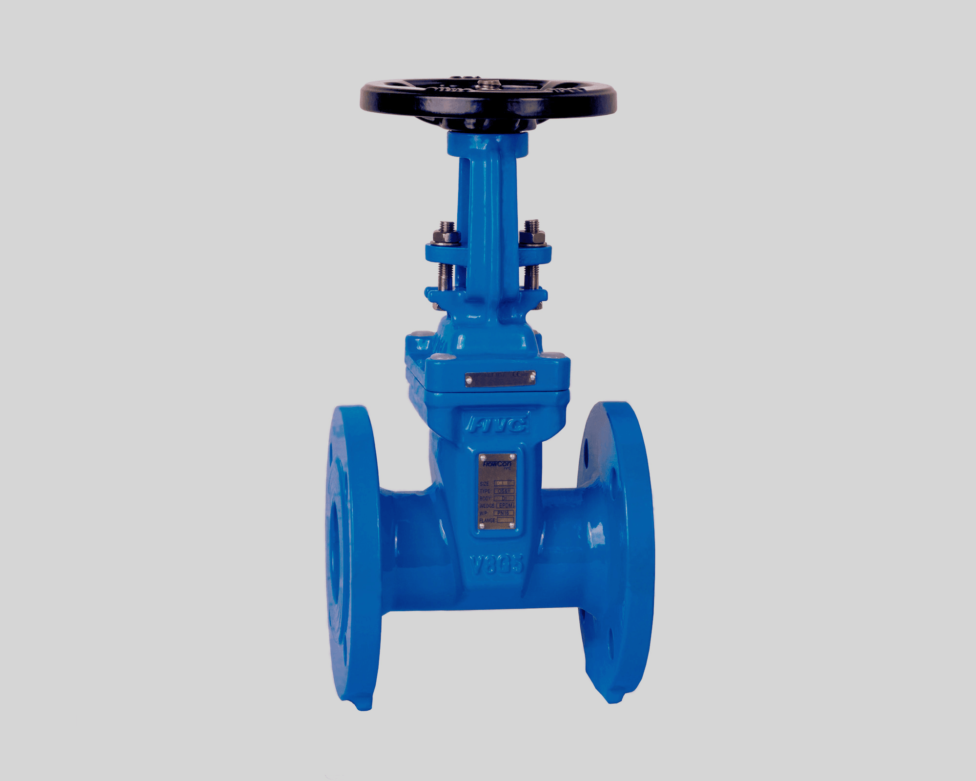 FIVC Gate Valve