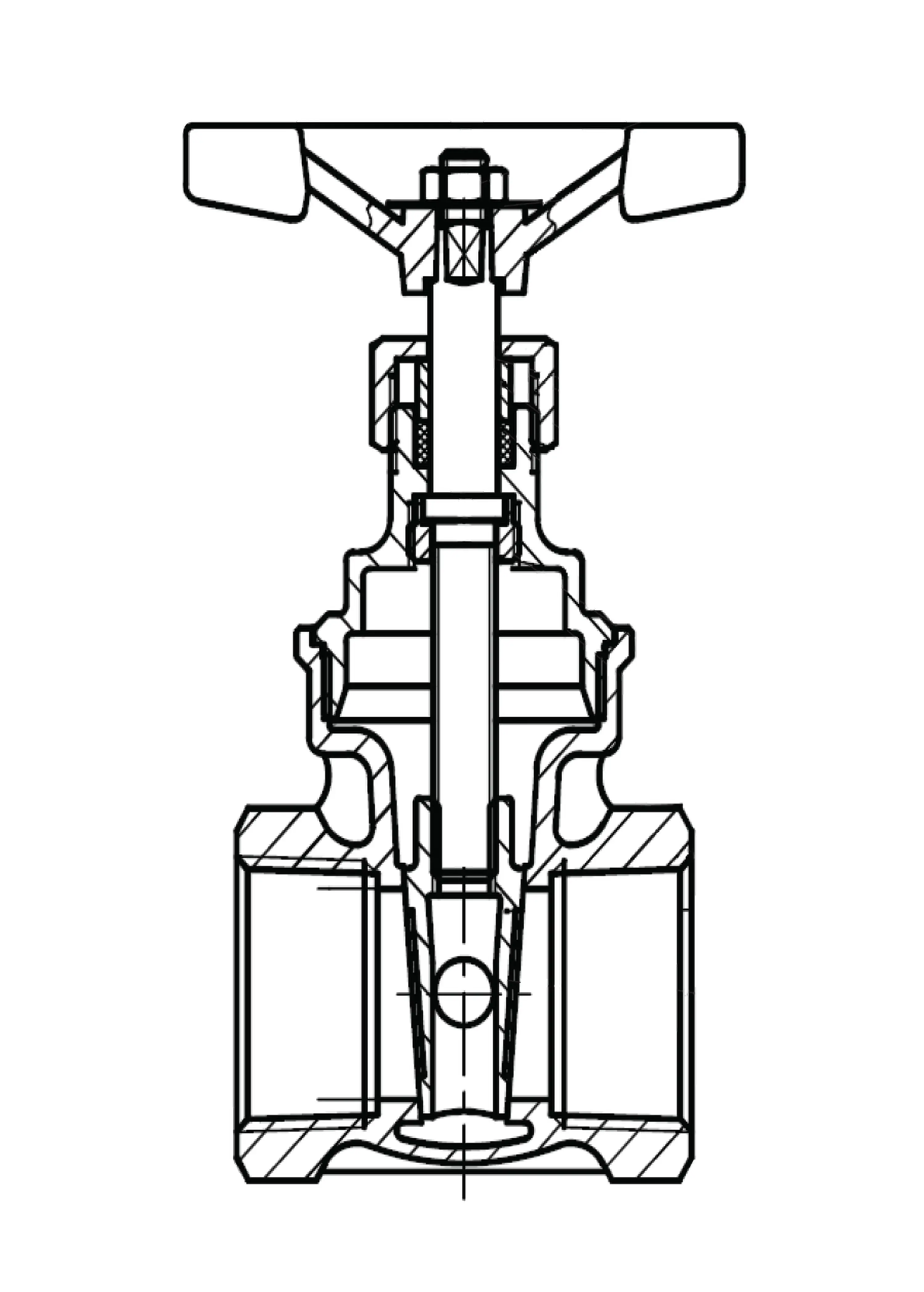 FGA_O20_NS21