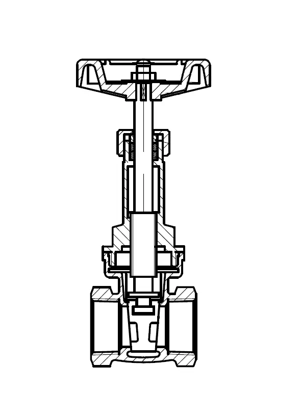 FGA_O20_RS21