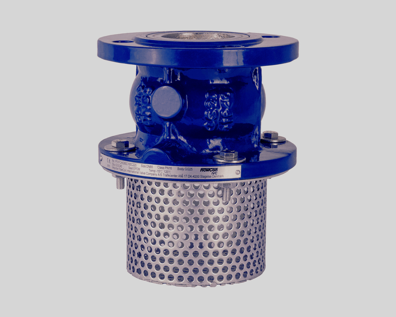 Foot valves