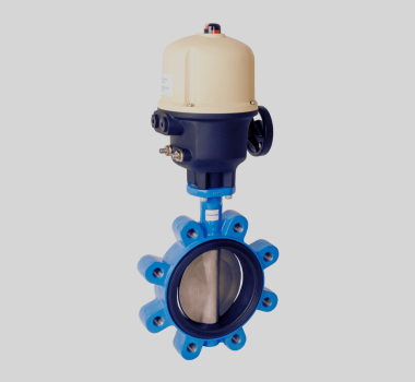 Butterfly-valves-3