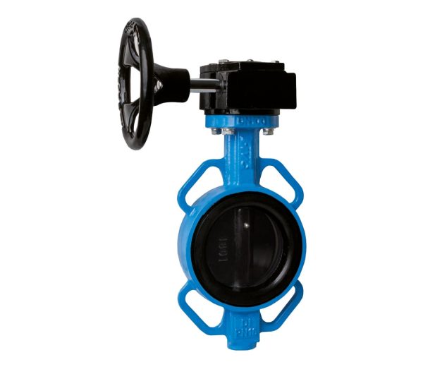 WAFN3-MDVEPV-1620-3 WAFN3-MDVEPV-1620-3